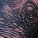tattoo galleries/ - Rhino Tattoo - 60399